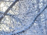 Яр Чаллыда 15 февральгә һава торышы