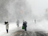 В Татарстане ожидаются метель, туман и сильный ветер порывами до 17 м/с