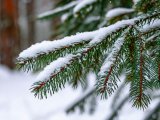 Прогноз погоды в Набережных Челнах на 31 декабря