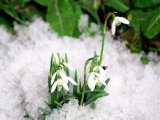Прогноз погоды на 8 марта