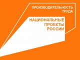 Шесть челнинских предприятий получат господдержку в рамках федерального проекта «Производительность труда»