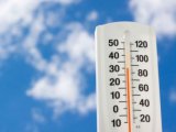 Температура воздуха в Набережных Челнах прогреется до +35˚