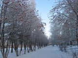 Погода в Набережных Челнах на 19 декабря