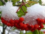 Прогноз погоды на 14 ноября