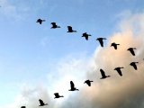 В Татарстане прогнозируется сильный юго-западный ветер до 15-18 м/с