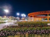 Ближайшей ночью в Набережных Челнах ожидается до -3˚