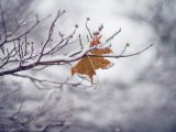 Прогноз погоды в Набережных Челнах на 8 ноября