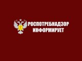 Яр Чаллы эшмәкәрләре өчен кабул итү көне оештырыла