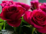 Ветераны Великой Отечественной войны отмечают юбилей