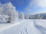 Прогноз погоды на 30 декабря