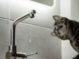 11 майдан Яр Чаллыда җылылык челтәренен тикшерү башлана