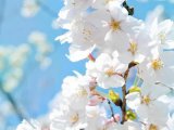 Прогноз погоды на 12 мая