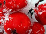 Синоптиклар 31 гыйнварда һава торышы начарлану турында хәбәр итә