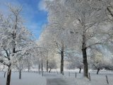 24 гыйнварга һава торышы фаразы