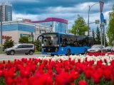 В Курбан-байрам общественный транспорт начнет ездить раньше