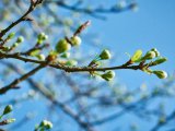 Прогноз погоды на 9 мая