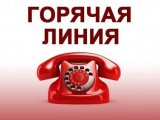 В Татарстане открывается горячая линия по вопросам образования