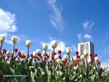 Җиңү көнендә Яр Чаллыда +16..+20˚ көтелә