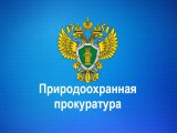 Природоохранная прокуратура проведет День приема