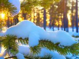Прогноз погоды на 7 декабря