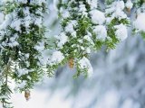 Прогноз погоды в Набережных Челнах на 21 января