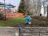 Парки и скверы Набережных Челнов обрабатывают от грызунов