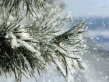 Прогноз погоды на 12 декабря