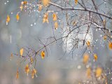 Прогноз погоды на 5 ноября