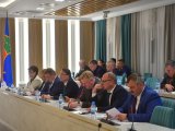Депутатлар чаллылыларны кабул итә