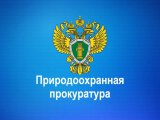 Прием предпринимателей в природоохранной прокуратуре