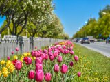 Прогноз погоды на 17 июня
