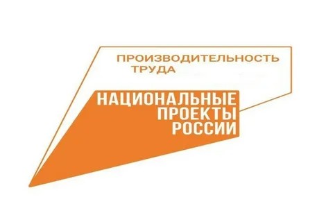 Чаллыда «Хезмәт җитештерүчәнлеге» милли проекты актив гамәлгә ашырыла