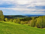 Татарстан Республикасы территориясендә урманнарның югары янгын куркынычы турында шторм кисәтүе
