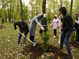 Якын арада шәһәребездә 22 мең төп агач утырту планлаштырыла