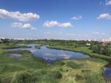В Набережных Челнах прогнозируется переменная облачность