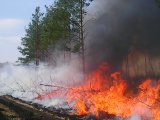 В лесном фонде возникла чрезвычайная пожарная опасность