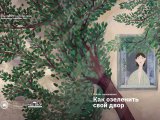 «Наш двор» поделились советами по озеленению двора