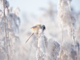 Прогноз погоды на 24 февраля