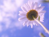 До +27˚ прогнозируется в Набережных Челнах