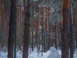 Погода в Набережных Челнах на 2 марта