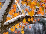Прогноз погоды в Набережных Челнах на 1 ноября