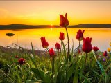 До 28 градусов прогнозируется в Набережных Челнах