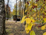 В Набережных Челнах прогнозируется до +13 градусов