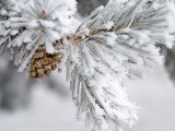 Прогноз погоды в Набережных Челнах на 19 января