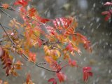 Погода в Набережных Челнах на 16 ноября