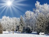 Прогноз погоды на 23 января