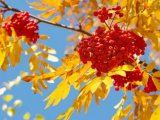 Прогноз погоды на 14 сентября