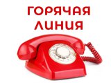 «Мәрхәмәт-Милосердие» проводит горячую линию