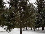 Погода в Набережных Челнах 12 декабря