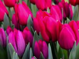 Прогноз погоды на 8 мая